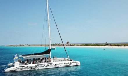 Klein Curacao en Catamarán – Blue Finn Charters