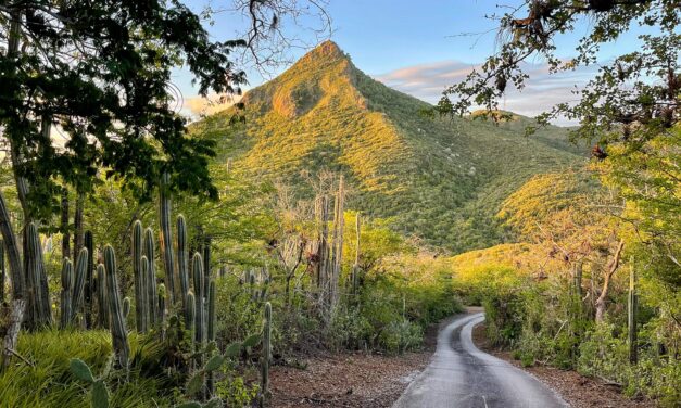 Explora la belleza natural del Parque Nacional Christoffel