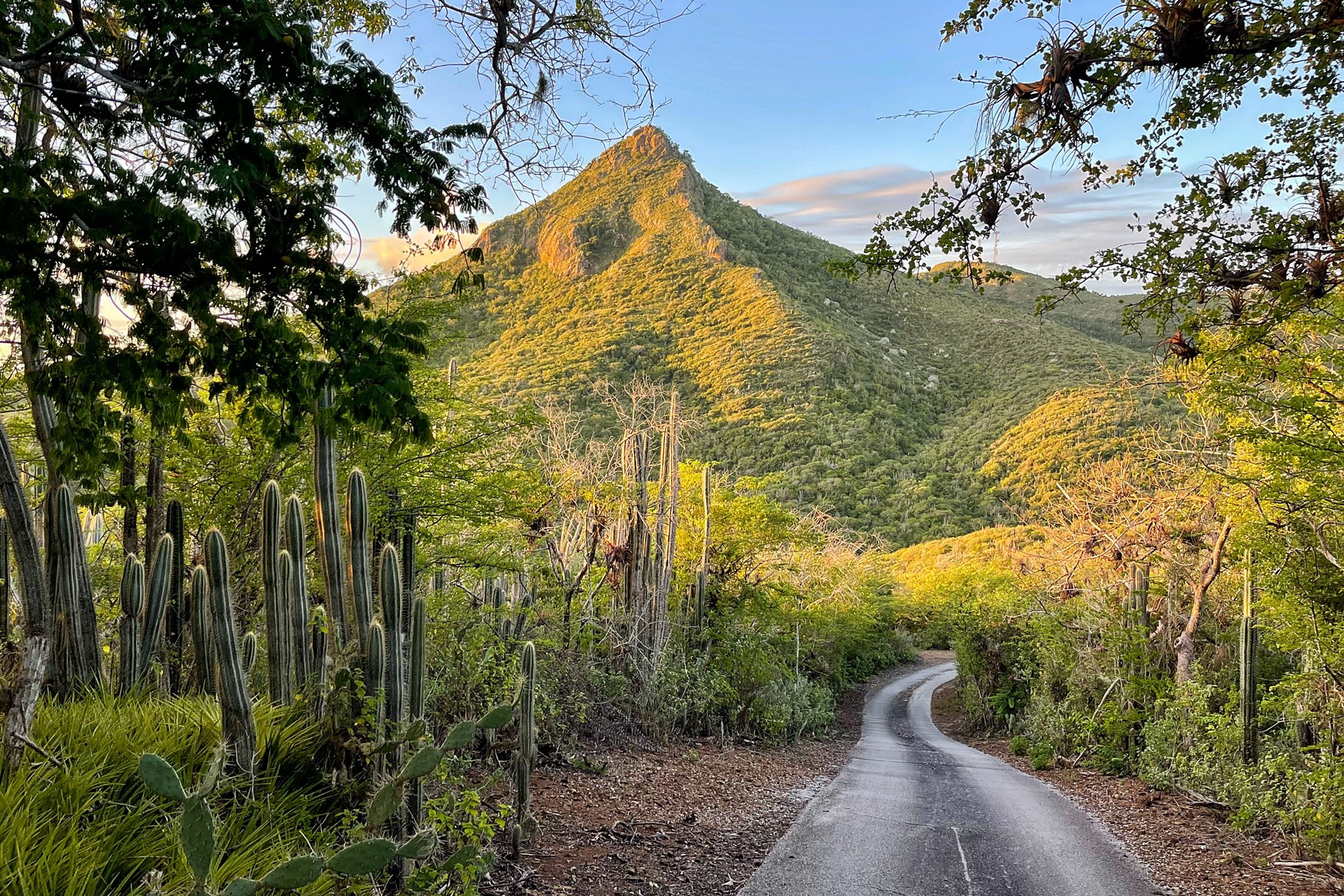 Explore the natural beauty of Christoffel National Park | Curacao My Way