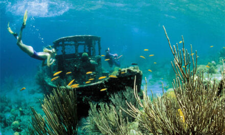 Tugboat Beach en Curazao: Un Paraíso Escondido en el Caribe