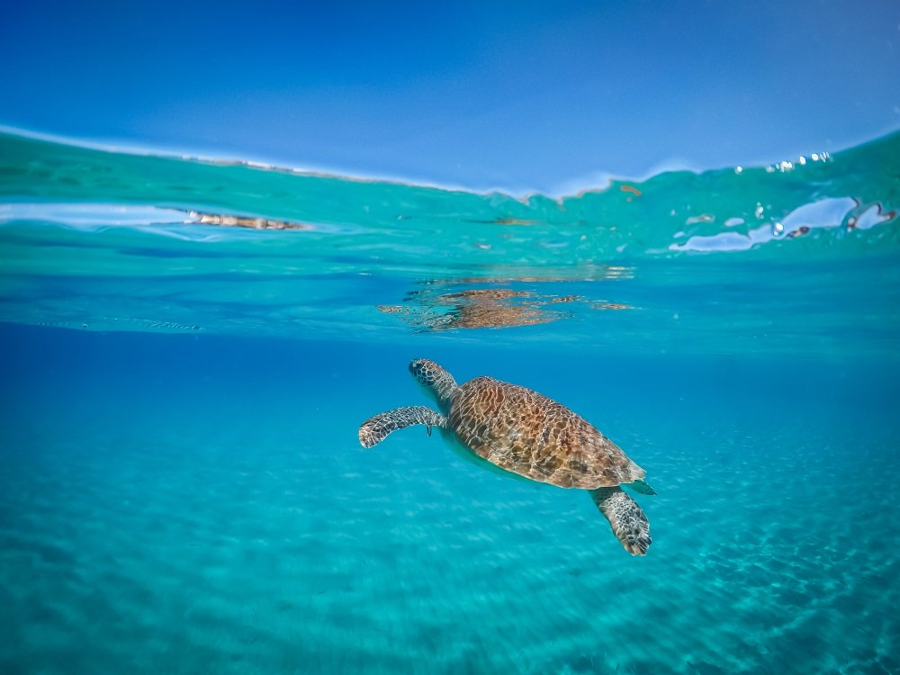 Curaçao Beach Tour