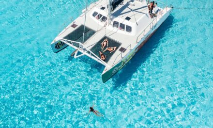 Comparativa de Tours a Klein Curacao (con precios): Mermaid, Miss Ann y Irie Tours