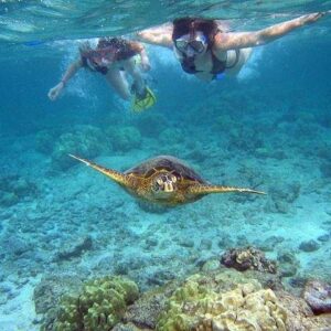 Wonders of Curaçao Tour: Caves, Turtles and Beaches
