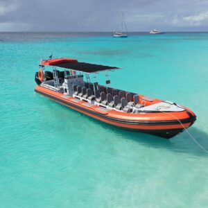 Aventura Powerboat en Curazao: Blue Room, Tortugas y Playas