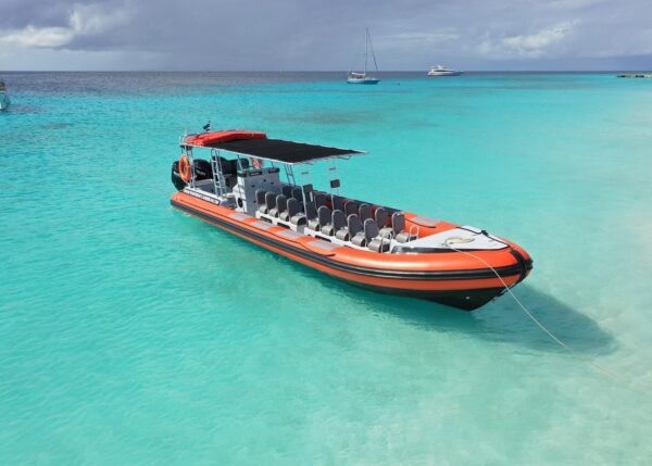 Aventura Powerboat en Curazao: Blue Room, Tortugas y Playas