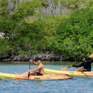 Tour de Kayak de Medio Día en Curazao