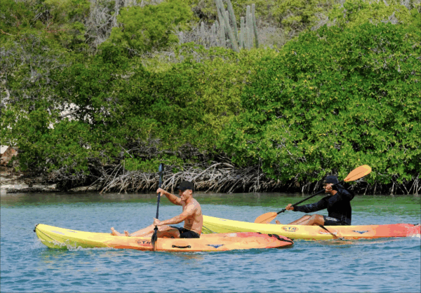 Half Day Kayak Tour in Curaçao